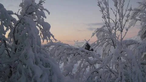 Heavy snowfall on trees Stock Footage 160984552