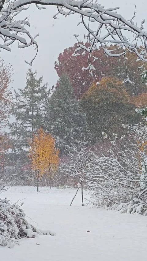 Heavy snowfall (vertical video) Stock Footage 329069587