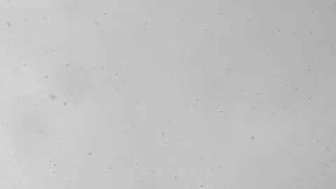 Heavy snowfall on a white background Stock Footage 321493871