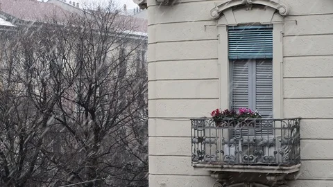 Heavy snowfall whitens Stock Footage 86797109