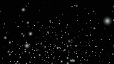 Heavy snowfall in the wild park, large flakes of snow falling slowly, snow .. Stock Footage 237432897