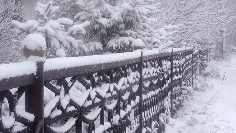 Heavy snowfall in winter in the city, soft snowy christmas morning with falling Stock Footage 119335236