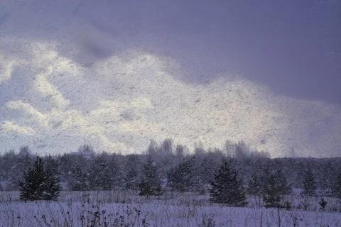 Heavy snowfall in winter forest. Frontal weather change, winter storm. Stock Photos