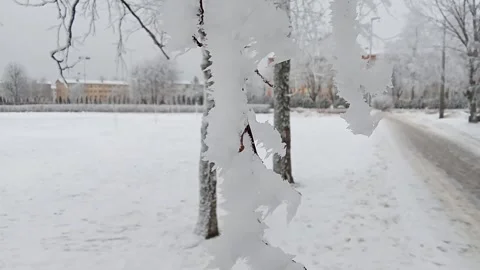 Heavy Snowfall in Winter Park with Snowy Trees and Path Stock Footage 344092900