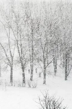Heavy snowfalling Stock Photos