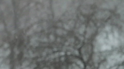 Heavy Snowing Stock Footage 664627