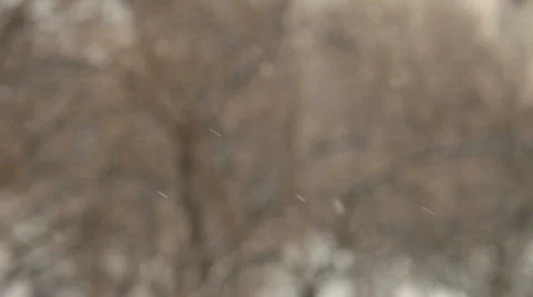 Heavy Snowing Stock Footage 664628