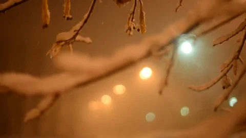 Heavy Snowing Night Stock Footage 69102438