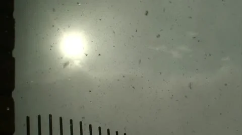 Heavy snowing in spring 4 Stock Footage 9438802