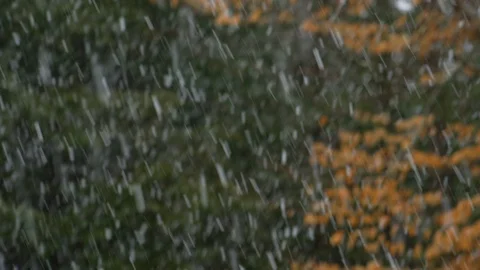Heavy snowstorm in soft focus winter forest in background Stock Footage 129854194