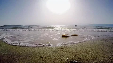 Heavy splash the sand and seashell in summer Stock Footage 50920552