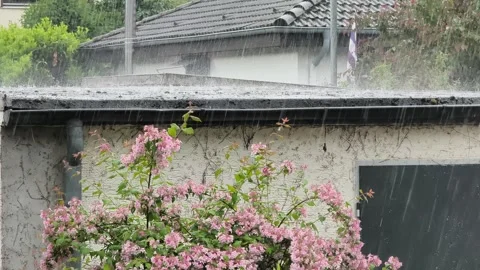 Heavy Spring Rain Falling on Garage Roof with Blooming Tree Stock Footage 341270251