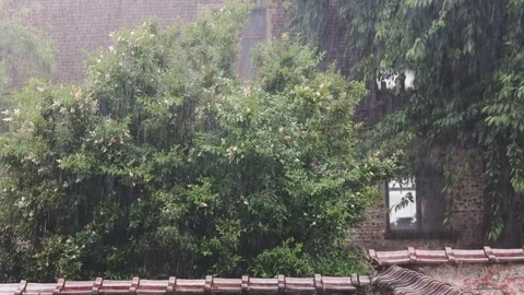 A heavy spring rain is falling outside in the courtyard during the day. Stock Footage 340036901