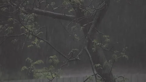 Heavy spring rainfall on city street Stock Footage 307429543
