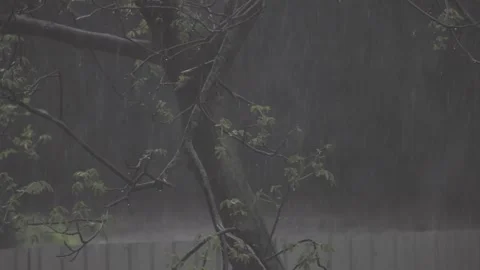 Heavy spring rainfall on city street Stock Footage 307429626