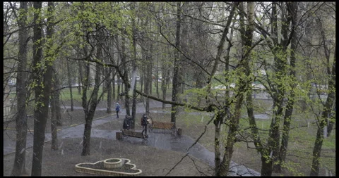 Heavy spring snowfall 库存影片 189912171