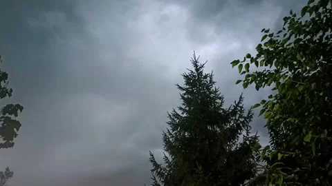 Heavy storm background, storm in dark sky, storm with wind Stock Footage 342320330
