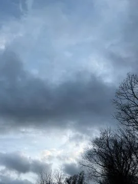Heavy Storm Clouds Above Bare Trees Stock-Fotos