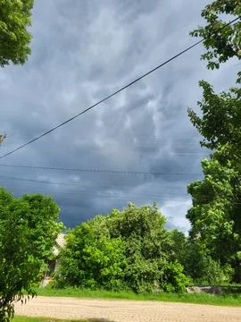 Heavy storm clouds over summer treetops 스톡 사진