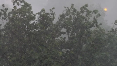 Heavy storm with rain and wind. Stockbeeldmateriaal 111657412