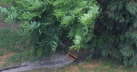 Heavy storm with rain and wind. Stockbeeldmateriaal 111665532