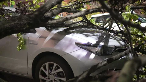 Heavy storm wind caused terrible natural disaster on the street, uprooted broken Video stock 220702876