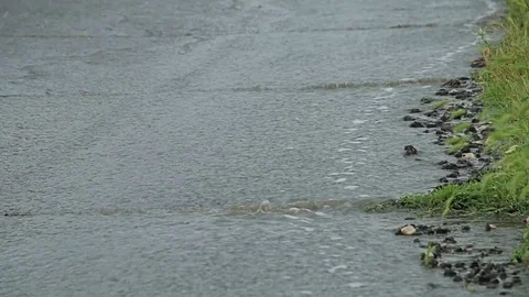 Heavy stormy rain on road, Flowing Raining water on the Road Video stock 76642871