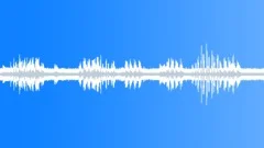Heavy summer rain 18 Sound Effect