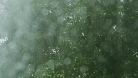 Heavy summer rain background. Stock Footage 308520637