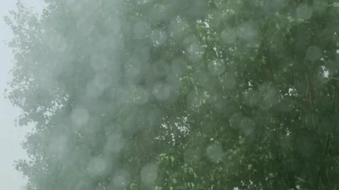 Heavy summer rain background. Stock Footage 311700677