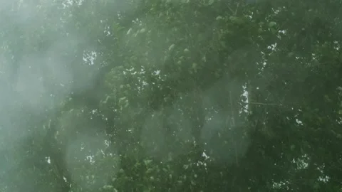 Heavy summer rain background. Stock Footage 315586730