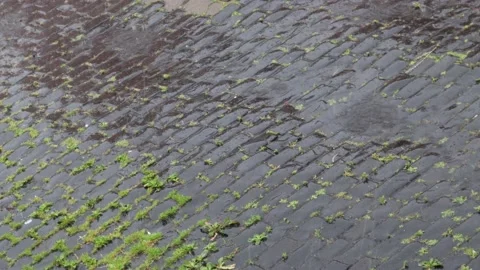 Heavy Summer Rain Falling On An Old Cobbled Street In The United Kingdom 스톡 동영상 133806014
