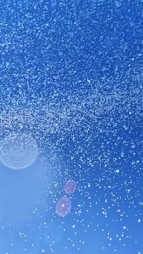 Heavy summer rain falling from sky in bright daylight scene Stock Footage 318182083