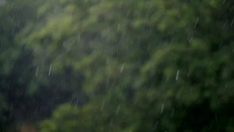 Heavy summer rain Stock Footage 101276047