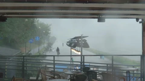 Heavy summer rain Stock Footage 147684848