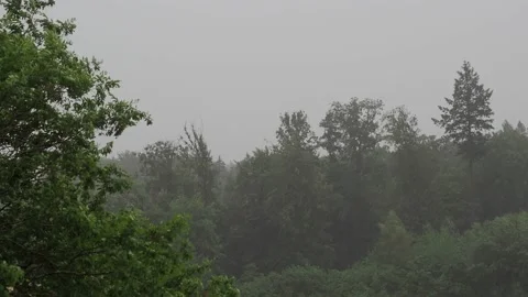 Heavy summer rain, wind and thunderstorms in switzerland Stock Footage 201361753
