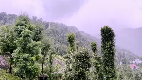 Heavy Summer Rainfall Over Scenic Landscape Видео 339779064