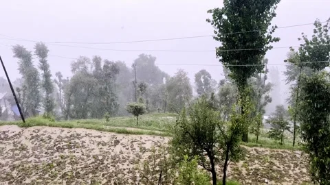 Heavy Summer Rainfall Over Scenic Landscape Видео 339779505