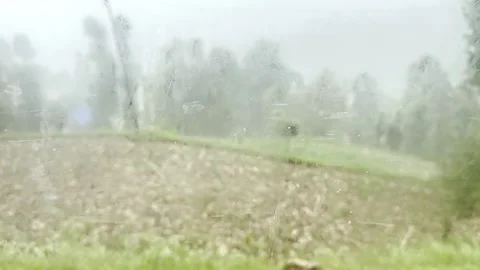 Heavy Summer Rainfall Over Scenic Landscape Vidéo 339779689
