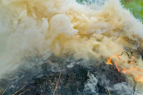 Heavy thick smoke from burning haystack 스톡 사진
