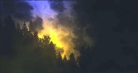 Heavy Thunder &amp; Lightning Forest Silhouette - Yellow &amp; Blue Stock Footage 92500718