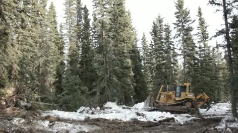 Heavy tracked bulldozer knocking down trees on a gold mine in Alaska HD217 Stock Footage 10887047