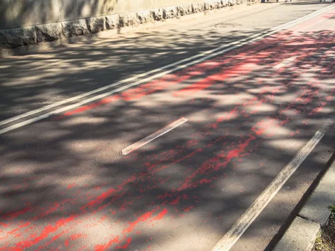 Heavy traffic on the bike path,time lapse Stock Footage 75753356