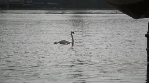 Heavy traffic Stock Footage 11464050