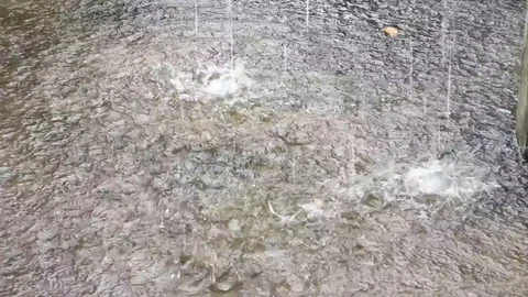 Heavy tropical rain fall on a cement floor Stock Footage 121414063