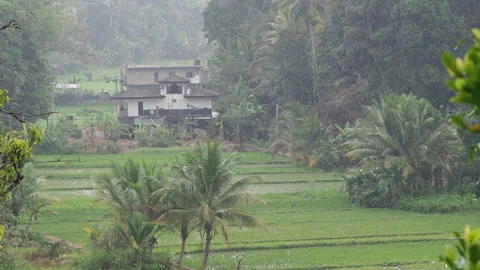 Heavy tropical rain falling on asian rural landscape Vídeo Stock 340641164