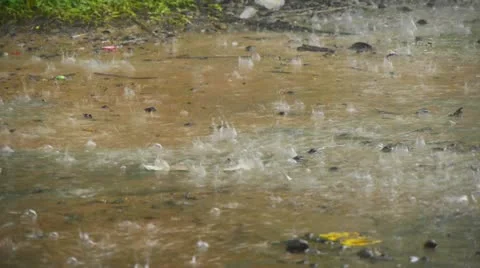 Heavy tropical rain Stock Footage 11197730