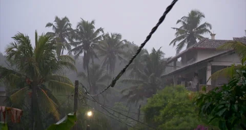 Heavy tropical rain over palm trees power lines and hillside house Stock Footage 334844664