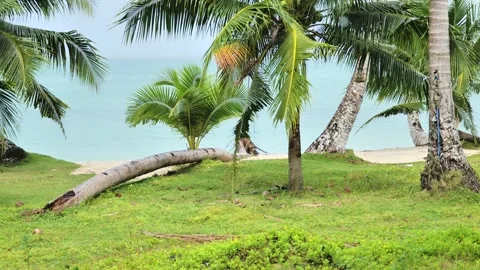 Heavy Tropical Rain At White Beach Port Barton Palawan Philippines Coast Vídeo Stock 342177965