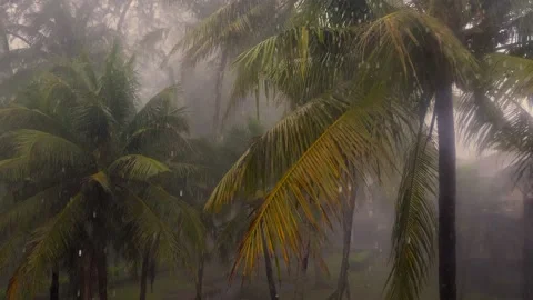 Heavy tropical rain with the wind in rai... | Stock Video | Pond5